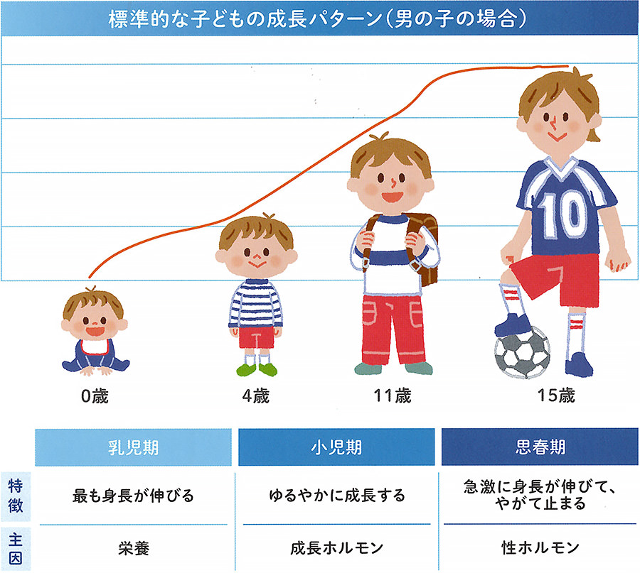 標準的な子どもの成長パターン(男の子の場合)